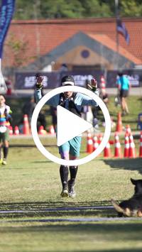 BIB:  <button type="button" onclick="openModal(26565491)" class="btn btn-primary btn-sm float-right" data-toggle="modal" data-target=".modal-high-quality">
                <i class="fa fa-download"></i> Download
                </button>